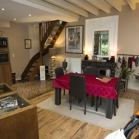 Appartement Maison D'hotes Cygne Noir Romans-sur-Isère
